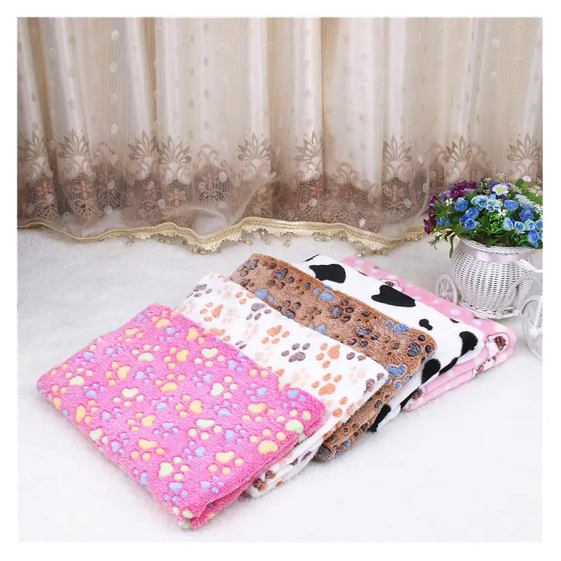 Couverture Chaton 2