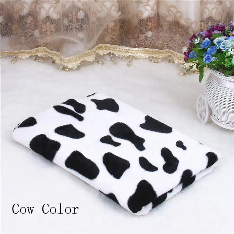 Couverture Chaton couleur vache