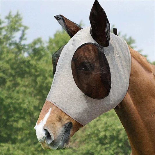 Couverture anti mouche pour cheval