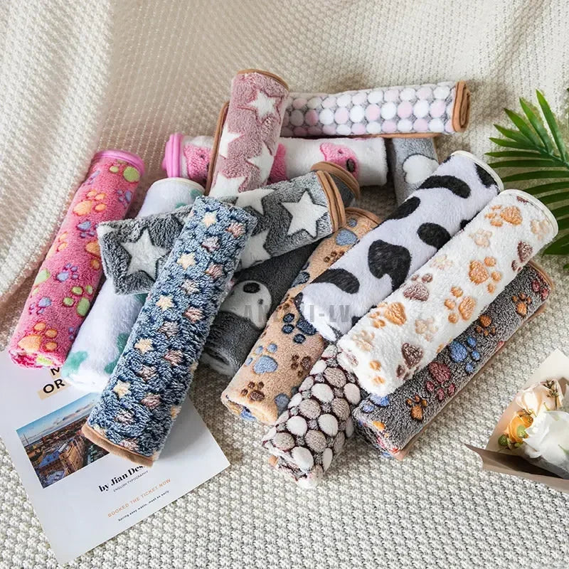 Couverture pour Chien