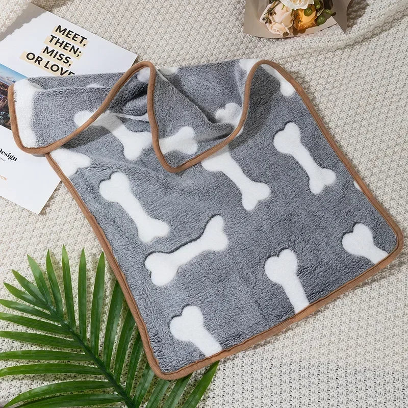 Couverture pour Chien gris os