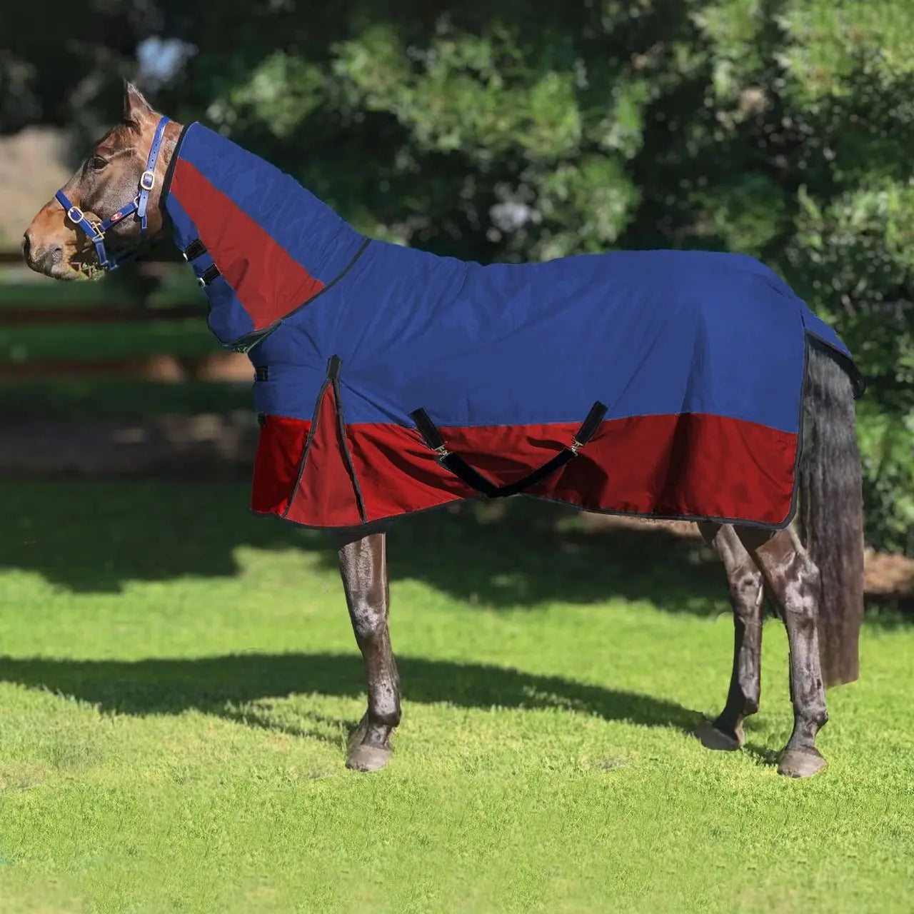 Couverture pour cheval en polaire 2