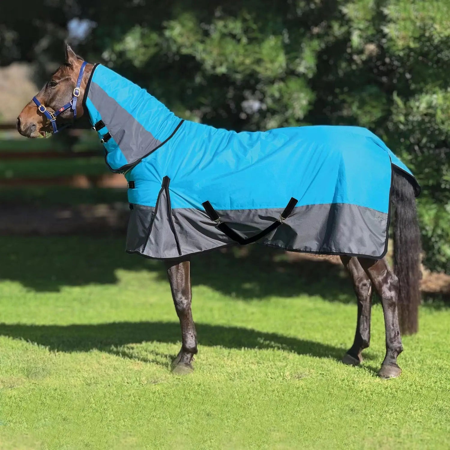 Couverture pour cheval en polaire 3