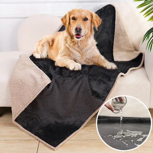 couverture Imperméable pour chien et chat