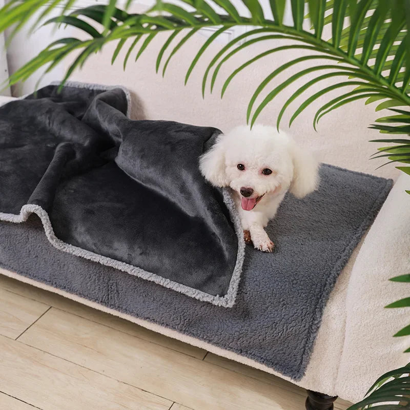 couverture Imperméable pour chien et chat 2
